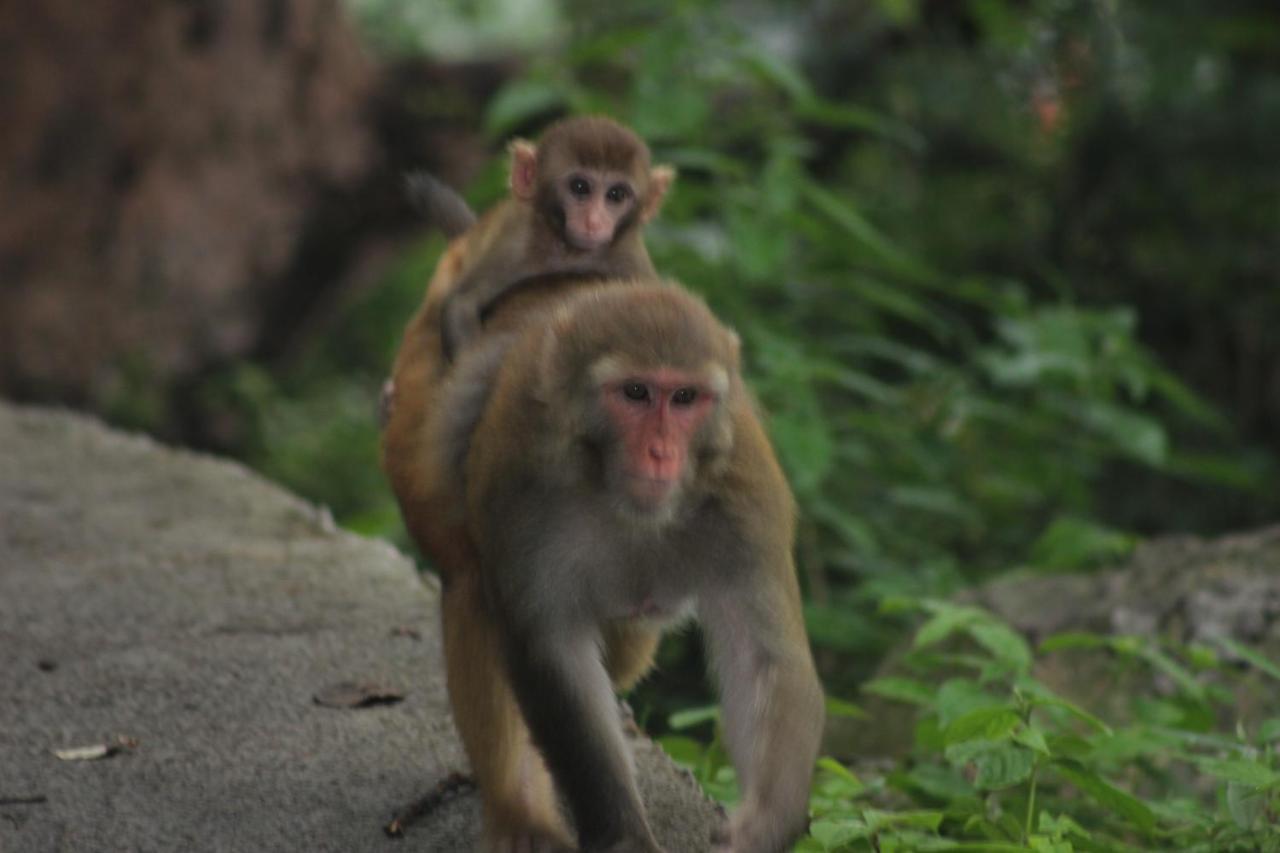 Bickey'S Homestay โพคารา ภายนอก รูปภาพ